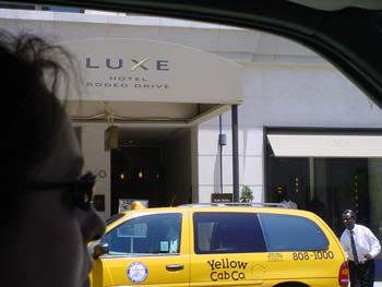 54 - Rodeo Drive
