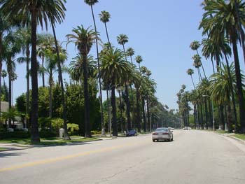 60 - Beverly Drive