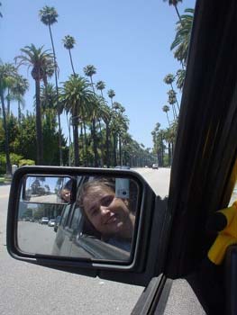 61 - Beverly Drive