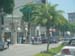 53 - Rodeo Drive